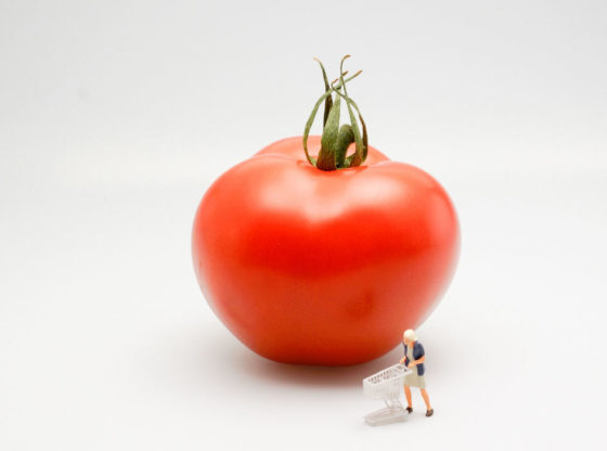 Potrzeba fachowej pomocy pomidor